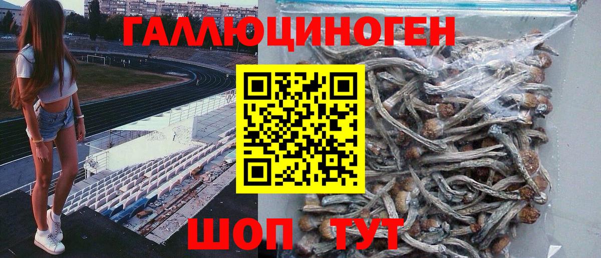 Галлюциногенные грибы мухоморы Курганинск